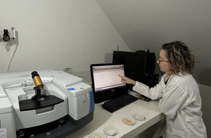 professora-Daniela-Manfroi_UEMS-Navirai_pesquisa-Biomassa-730x480
