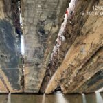 128aba0a-c93b-4379-8cdf-70967fb8d8ca