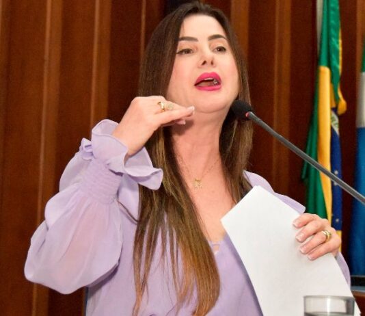MS: Mara Caseiro pede a implantação do Programa Mulher Segura em todos os municípios