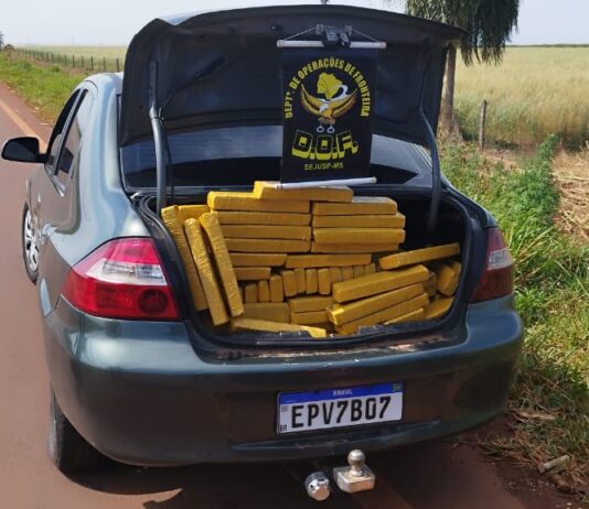 Cinco pessoas são presas pelo DOF com mais de 370 quilos de maconha no município de Laguna Carapã