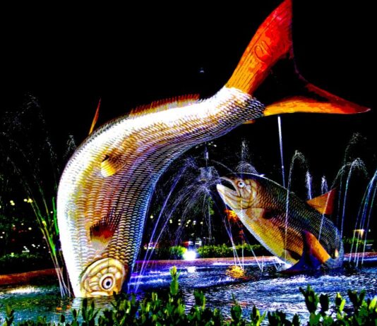 Turismo de MS promove ações de neutralização de carbono e gestão de resíduos no Festival de Bonito
