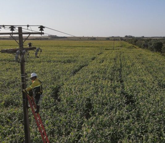 Obras da Infovia Digital entram em fase final na Capital e avançam para o interior