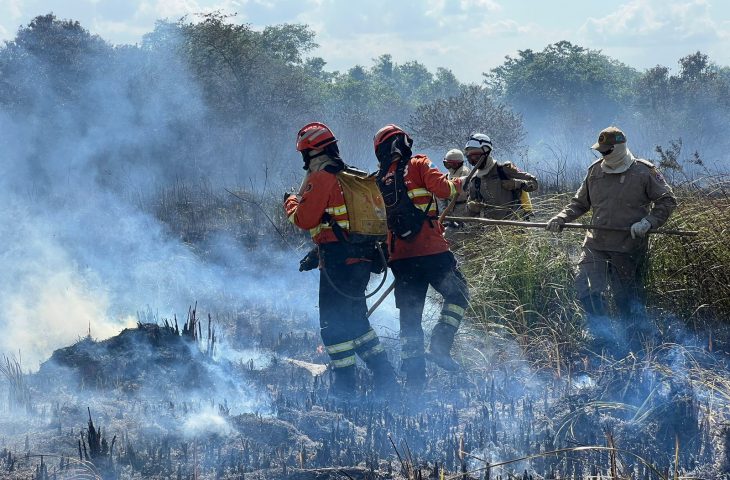 Bonito_controle-incendio-banhado-setembro-2023_bombeiros-CPA-730x480