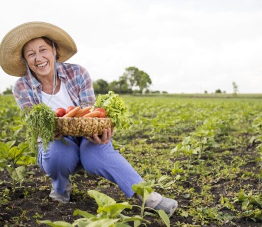 CAARAPÓ: Prefeitura abre processo para compra de gêneros alimentícios da agricultura familiar