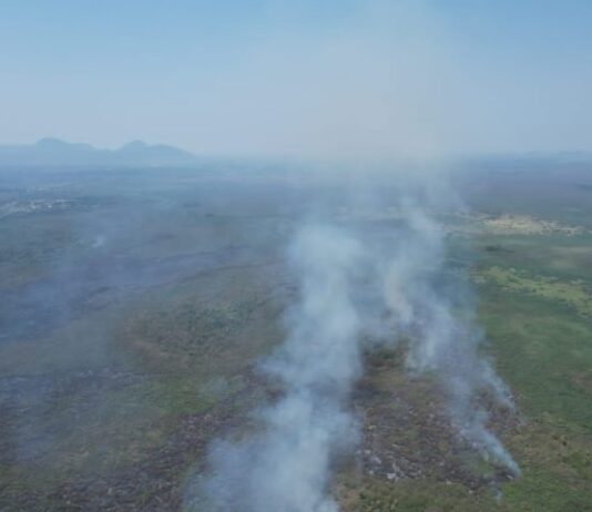 PANTANAL: incêndios na região foram controlados após seis dias de atuação dos bombeiros