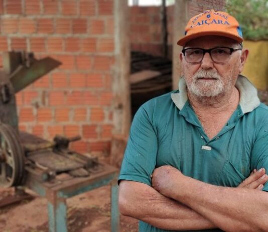 PONTA PORÃ: Agroindústria de erva-mate é a “galinha dos ovos de ouro” de agricultor familiar
