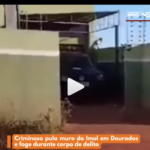 Sem título