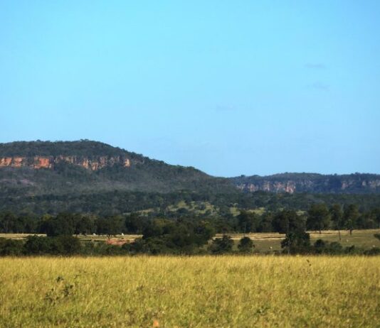 Quinta-feira tem previsão de tempo estável e temperaturas mais amenas em MS