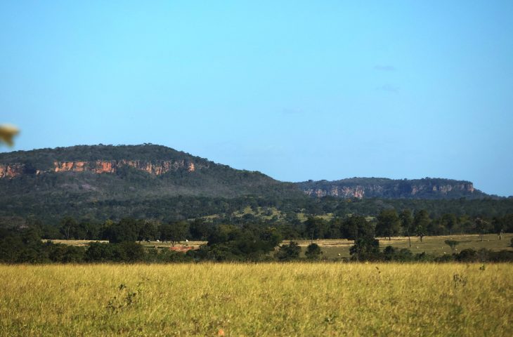Tempo-Seco-Calor-Rio-Negro-Foto-Alvaro-Rezende-730x480