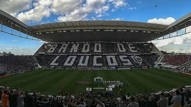 arena timao jog