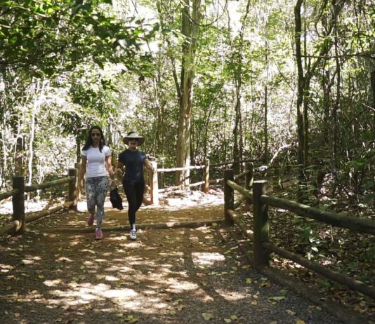 TURISMO ECOLÓGICO: Brasil tem mais de 10 mil quilômetros de trilhas cadastradas
