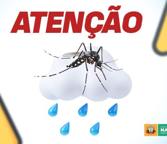 NAVIRAÍ ALERTA: após períodos chuvosos atenção deve ser redobrada no combate ao Aedes