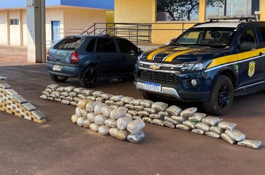 PRF apreende 95 Kg de cocaína e 84 Kg de skunk em Miranda (MS)
