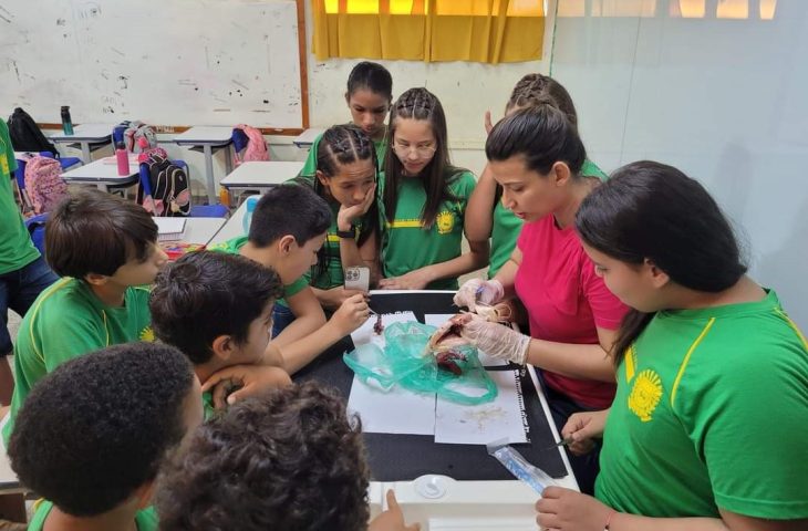 Escola-Lagoa-Bonita_1-730x480