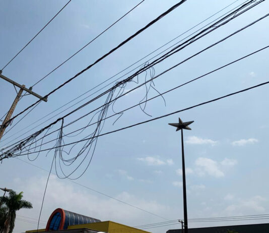 DOURADOS: Vereadora Liandra quer responsabilizar Energisa por poluição visual