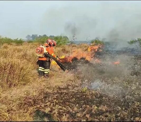 Bombeiros Militares de MS atuam em três incêndios florestais no Pantanal