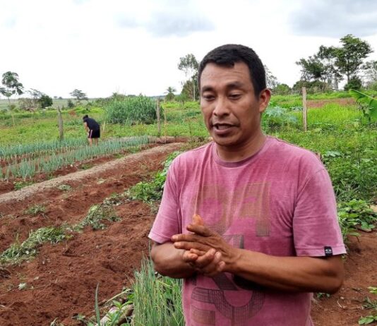 Agricultores familiares e povos originários têm até novembro para entrar em programa de R$ 5 milhões