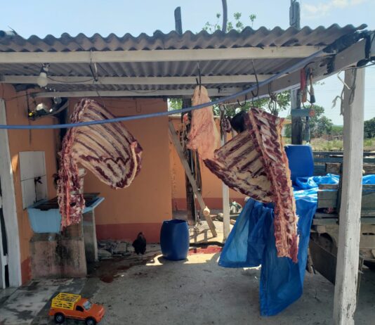 CORUMBÁ: Operação contra venda de carne clandestina termina com dois presos
