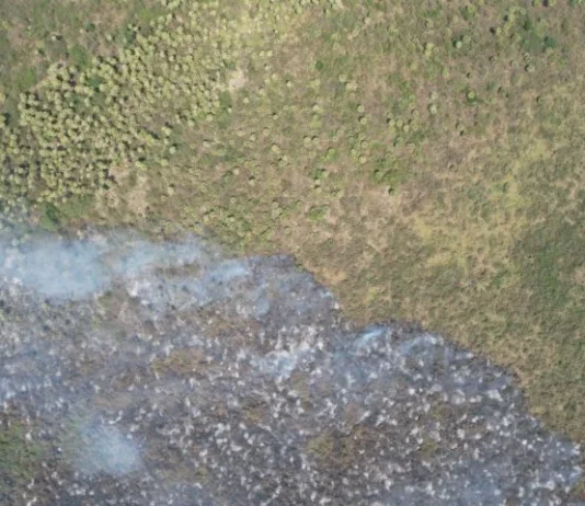 Bombeiros Militares controlam incêndio no Pantanal e monitoram área no Paiaguás
