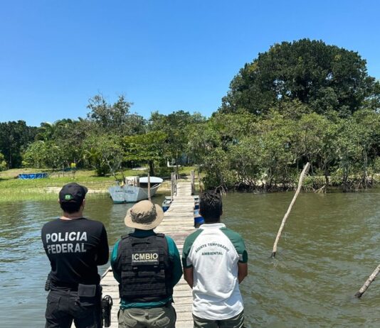 PF combate desmatamento, ocupação desordenada e tráfico de espécies nativas da Ilha Rasa
