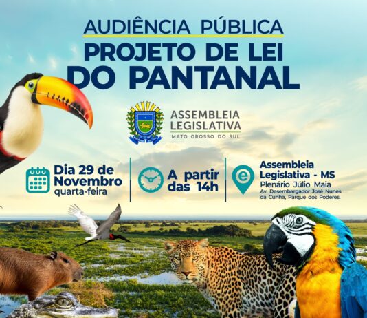 LEI DO PANTANAL: Renato Câmara convoca sociedade para audiência pública, dia 29