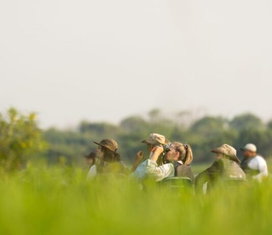 TURISMO: Observação de aves é discutido no Pantanal de MS em evento histórico