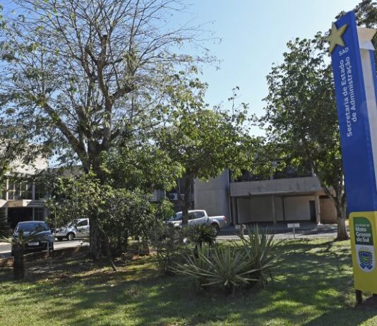 GOVERNO DIGITAL: resolução define normas do Sistema de Processos Eletrônicos e-MS