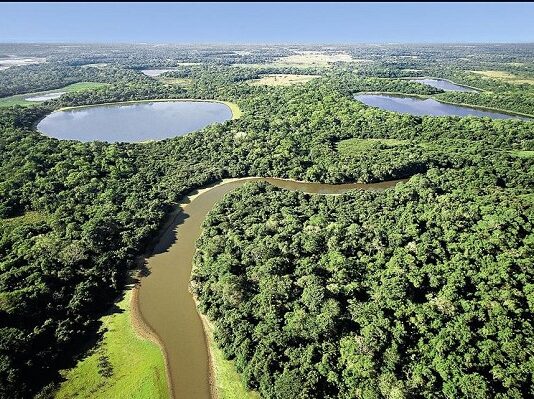 DIA DO PANTANAL DE MS: autor da Lei, Renato Câmara, destaca três anos da importante ação