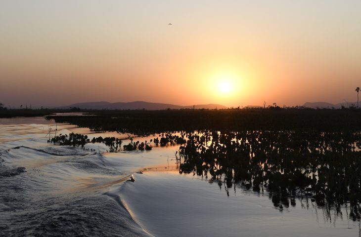 Pantanal-Tempo-Foto-Bruno-Rezende-22-730x480