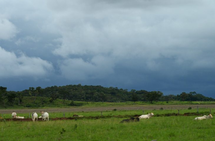 Tempo-Fto-Bruno-Rezende-03-730x480