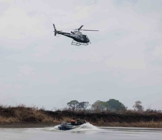 PMA e Grupo de Patrulhamento Aéreo utilizam helicóptero para resgatar animais feridos no Pantanal