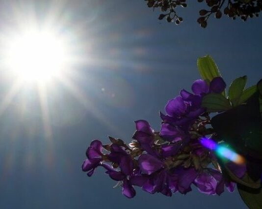 Sábado tem previsão de sol e tempo estável retorna a MS após dias chuvosos
