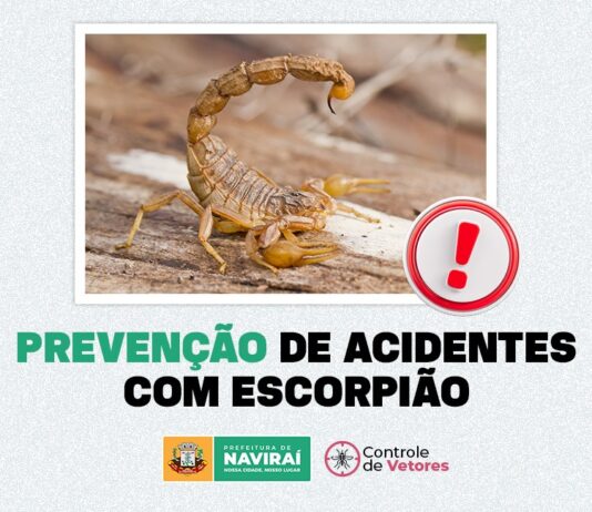 NAVIRAÍ: Prefeitura alerta sobre a importância da prevenção de acidentes com escorpião