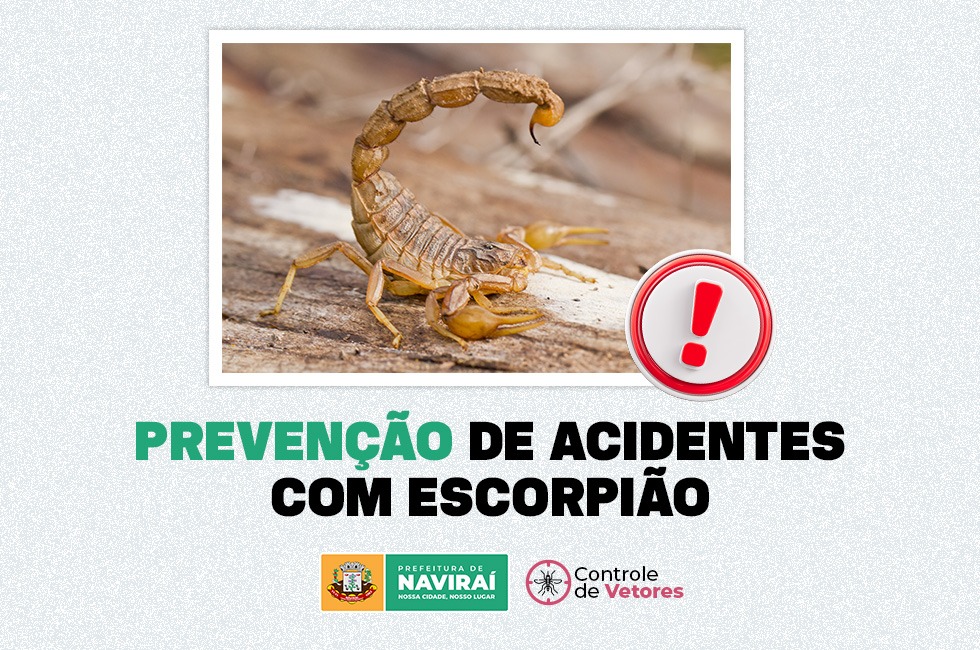 111223-prefeitura-de-navirai-alerta-sobre-a-importancia-da-prevencao-de-acidentes-com-escorpiao