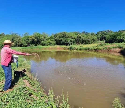 SIDROLÂNDIA: Assentamento Triângulo terá curso de piscicultura por Indicação de Renato