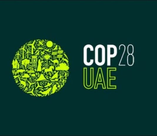 COP 28: Governo de MS vai a Dubai para fortalecer trabalho focado em meta do Carbono Neutro