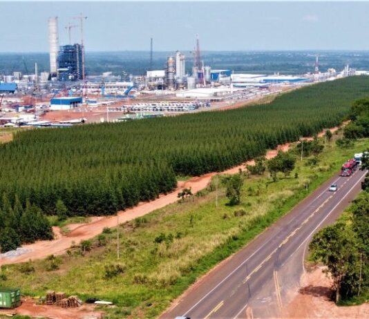 Ranking de liberdade econômica coloca MS entre os três estados com melhor ambiente para negócios