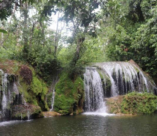 BONITO E BODOQUENA: Novo programa que paga por serviços ambientais tem 135 inscritos