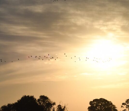 Sábado tem previsão de sol mas instabilidades podem ocorrer no período da tarde em MS