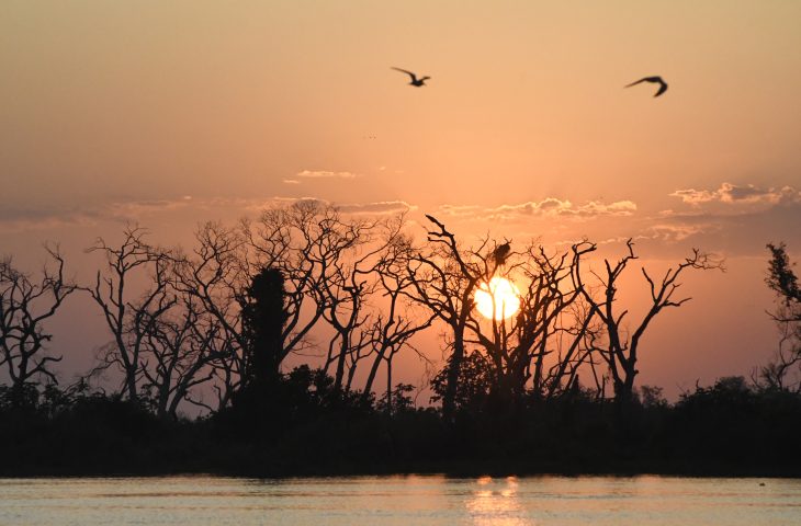 Pantanal-Tempo-Foto-Bruno-Rezende-15-730x480