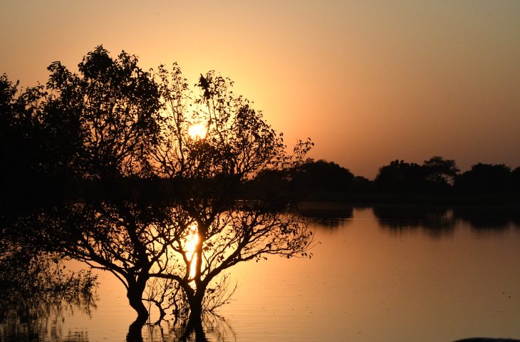 Pantanal-Tempo-Foto-Bruno-Rezende-18-730x480