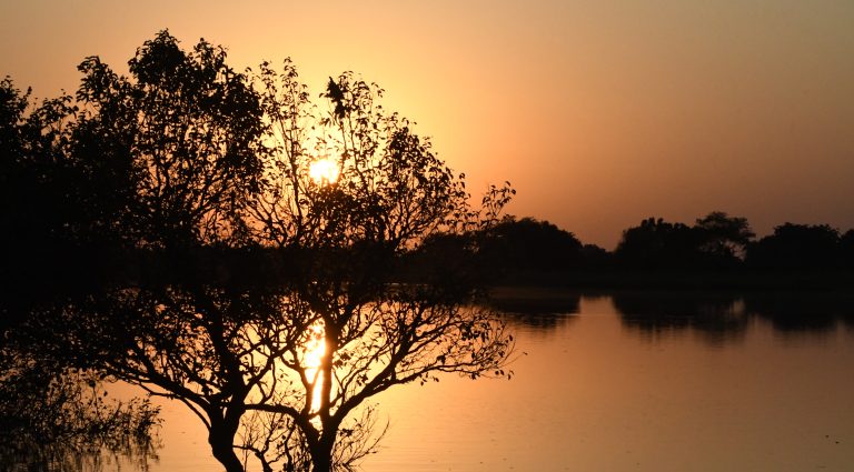 Pantanal-Tempo-Foto-Bruno-Rezende-18-768x425