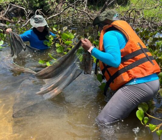 A bordo de navio da Marinha, pesquisadores do Bioparque desbravam o Pantanal em expedição