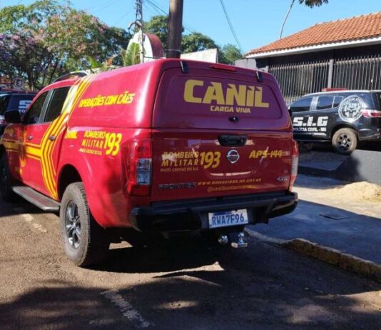 MORTE EM DOURADOS: Bombeiros usa cadela especialista em busca de pessoas para achar corpo