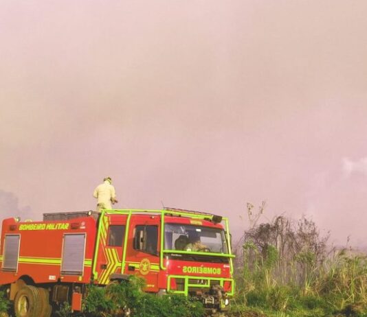 Com treinamento, tecnologia e planejamento, atuação dos bombeiros é destaque no combate a incêndios florestais em MS