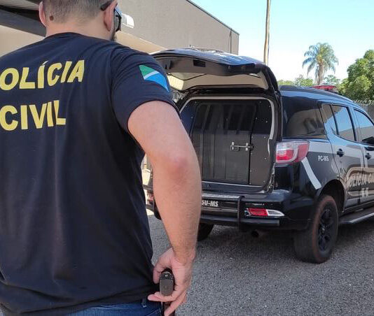 Polícia Civil prende em flagrante homem pela prática de furto em residências em Rio Brilhante