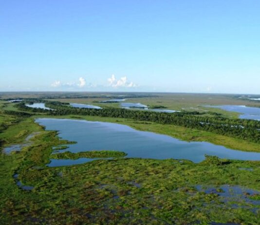 ICMS ECOLÓGICO: 71 municípios serão contemplados em 2024 e Semadesc publica índice definitivo