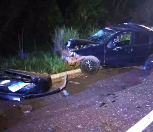 Acidente deixa três pessoas mortas em rodovia do MS; motorista tentou desviar de anta