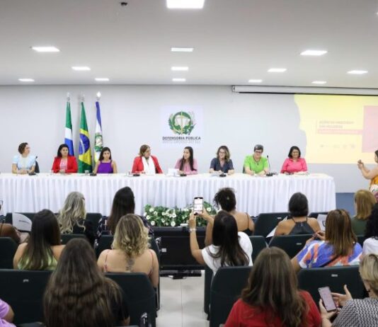 Desafios e políticas para as mulheres são abordados em encontro do CEDM-MS com ministra