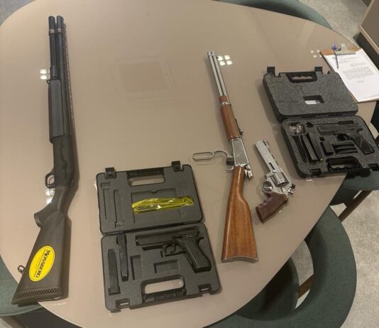 DOURADOS: Polícia Civil apreende seis armas de fogo ao investigar crimes de violência doméstica e familiar